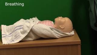 Neonatal Resuscitation  Demonstration [upl. by Anitnoc]