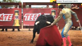 Bullfighting in South Texas [upl. by Theresita]