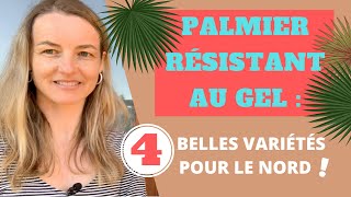 PALMIER résistant au gel  4 belles variétés pour le Nord [upl. by Adierf]