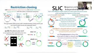 Choosing vector plasmids and subcloning [upl. by Cathyleen]