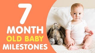 7 Months Old Baby Milestones [upl. by Merrell]