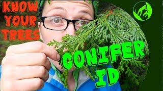 Know Your Trees  Conifer Identification [upl. by Akinwahs]