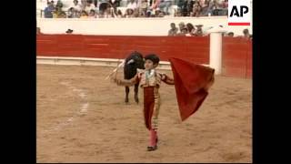 Feature on nineyear old bullfighter [upl. by Sirenay]