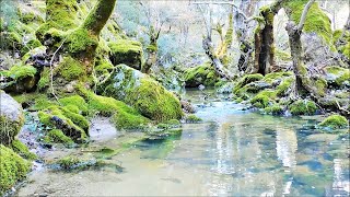 Amazing Nature Scenery of Lesvos island in Greece  Relaxing Video [upl. by Afatsuom957]