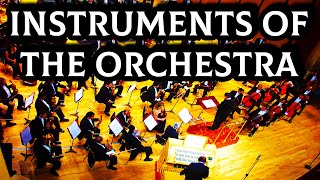 Instruments of the Orchestra [upl. by Bonilla]