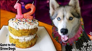 How To Make a Meat Birthday Cake For Dogs  DIY Dog Treats [upl. by Sherwood447]