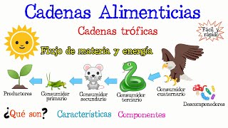 🐅¿Qué son las Cadenas Alimenticias🌿 Fácil y Rápido  BIOLOGÍA [upl. by Anchie837]