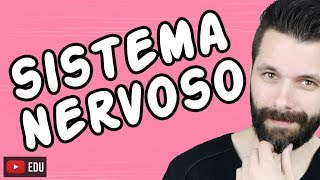 SISTEMA NERVOSO  FISIOLOGIA  Aula  Biologia com Samuel Cunha [upl. by Pizor]