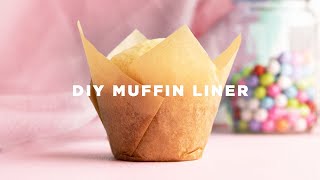 How to Make Cupcake Liners [upl. by Danzig673]