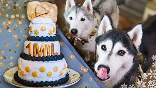 EPIC Cake For Dogs To Celebrate One Million  DIY Dog Treats [upl. by Yromas]