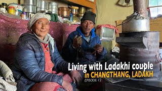 I experienced Ladakhi village life  Rongo village Changthang valley [upl. by Attenweiler]