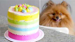 THE BEST Rainbow Dog Birthday Cake RECIPE [upl. by Aivata]