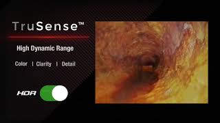 How To Use RIDGID® SeeSnake®Cameras Powered by TruSense™ Technology [upl. by Kallista]