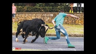 Bull fighting festival Portugal 2018 [upl. by Leibman270]