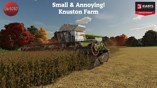 Small amp Annoying  Knuston Farm  Farming Simulator 22 [upl. by Three]