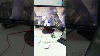 Lets test out the new AI setup with the Raspberry Pi 5 and Hailo HAT rasberrypi ai project [upl. by Yror56]