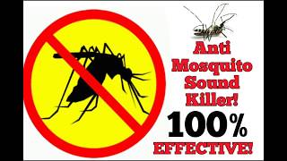 FREE anti Mosquito sound 100 EFFECTIVE [upl. by Ammadas981]