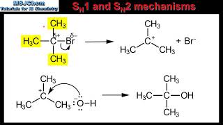 R349 SN1 and SN2 mechanisms HL [upl. by Gargan]