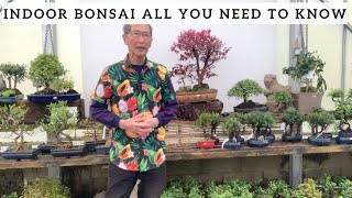 Indoor Bonsai All You Need To Know [upl. by Abbie]