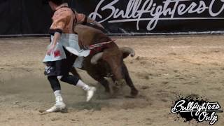 A Short History of Bullfighters Only [upl. by Aitekram]