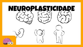 NEUROPLASTICIDADE CEREBRAL O QUE É E O QUE NÃO É [upl. by Myrwyn]