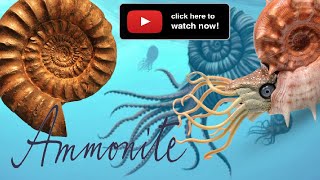 What is an Ammonite fossils [upl. by Lalitta]