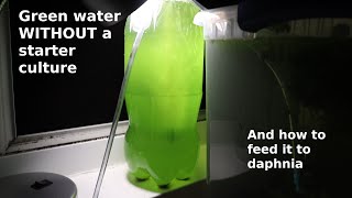 Green Water WITHOUT a Starter Culture  From Scratch  How To [upl. by Alleirbag844]