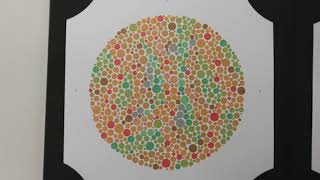 Video 6 The Ishihara Test for Colour Vision [upl. by Irby]