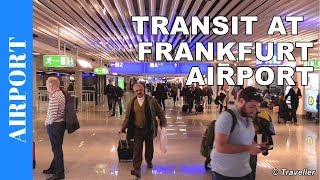 TRANSIT WALK AT FRANKFURT Airport FRA Terminal 1  Connection Flight Transfer Arriving amp Departing [upl. by Mandie]