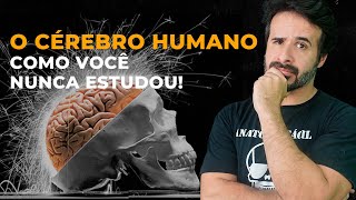 O CÉREBRO HUMANO COMO VOCÊ NUNCA ESTUDOU [upl. by Calvert]