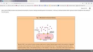 Bacterial Quorum Sensing and Bacterial Secretion Systems [upl. by Mehalick]